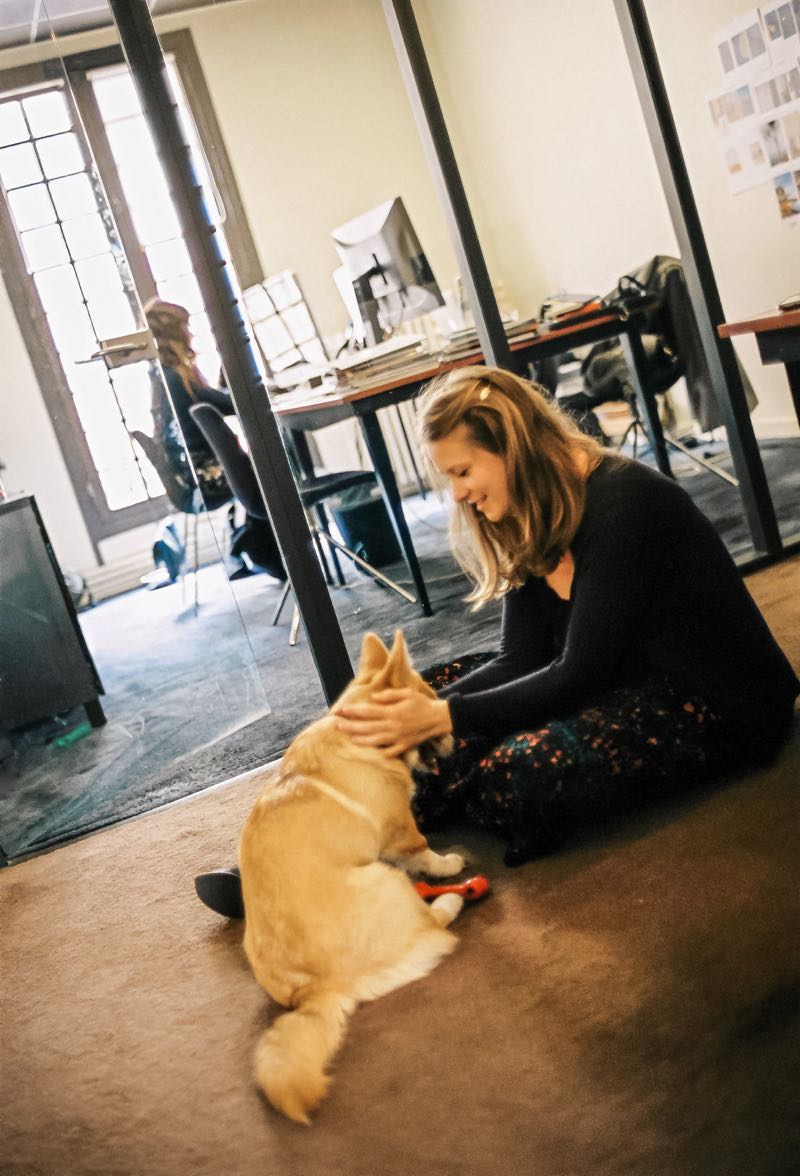 Animaux coworking.jpg